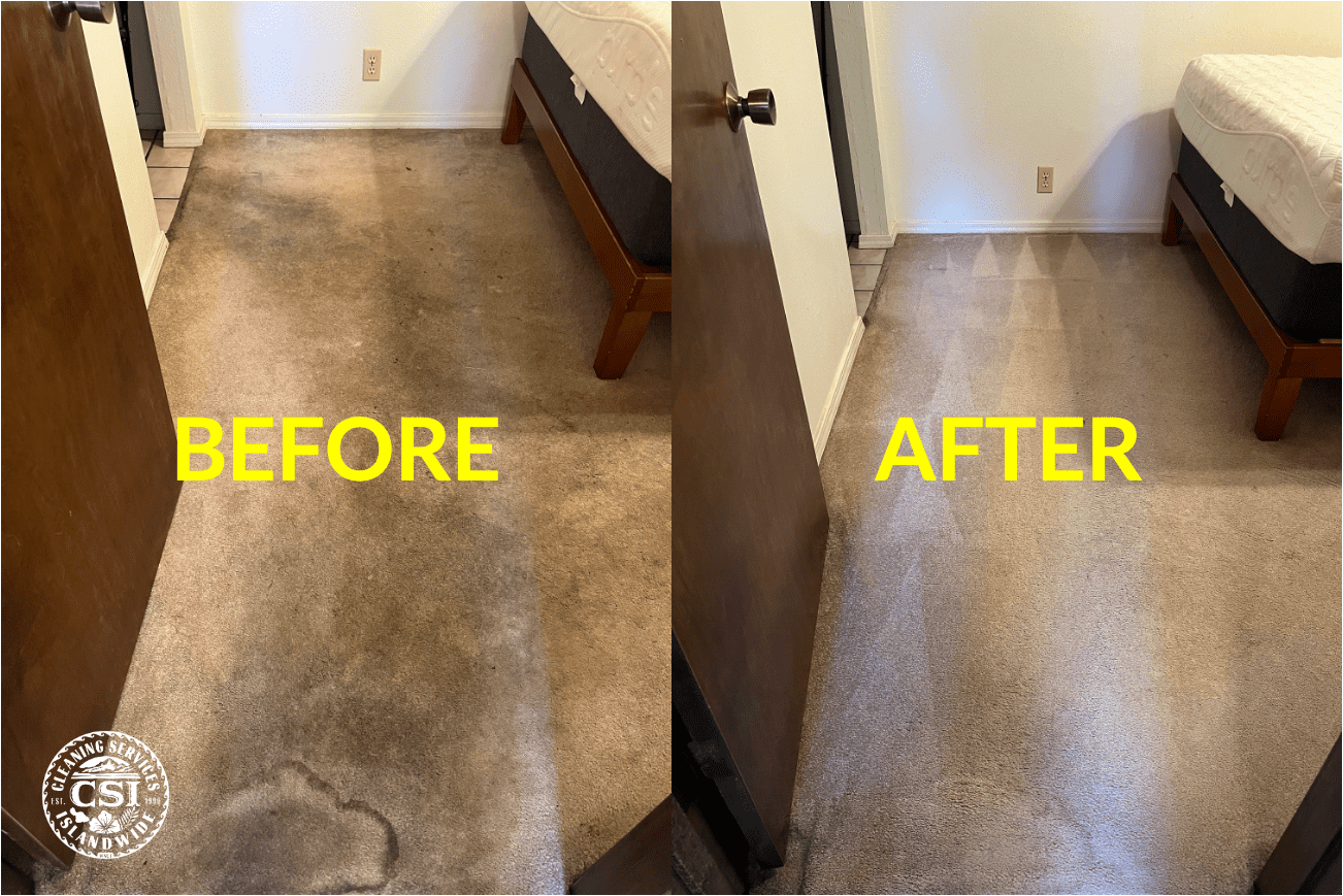 Expert Carpet Cleaning Service in Kaanapali, HI by CSI Carpet Cleaners