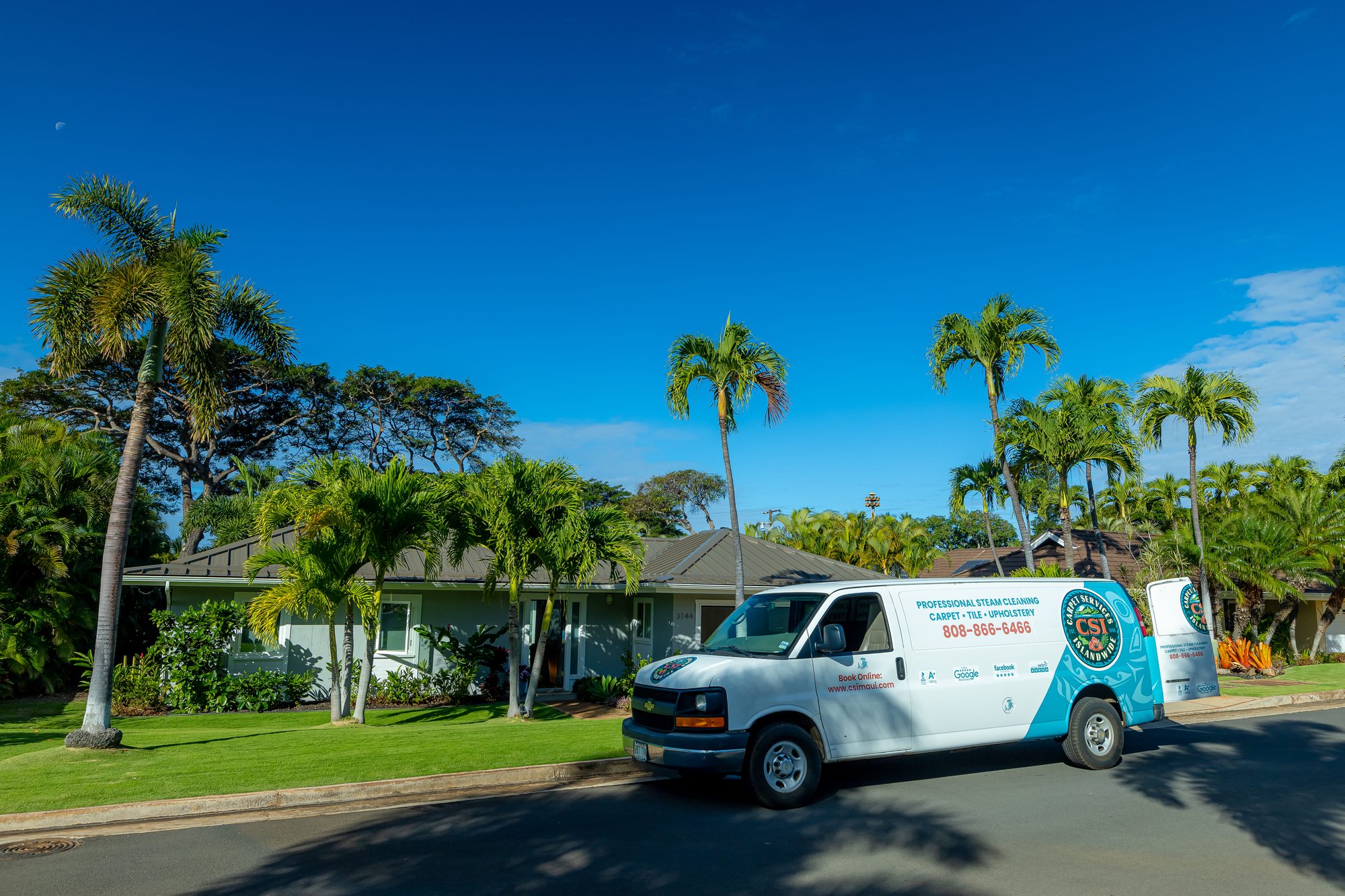 CSI-carpet-van-maui2