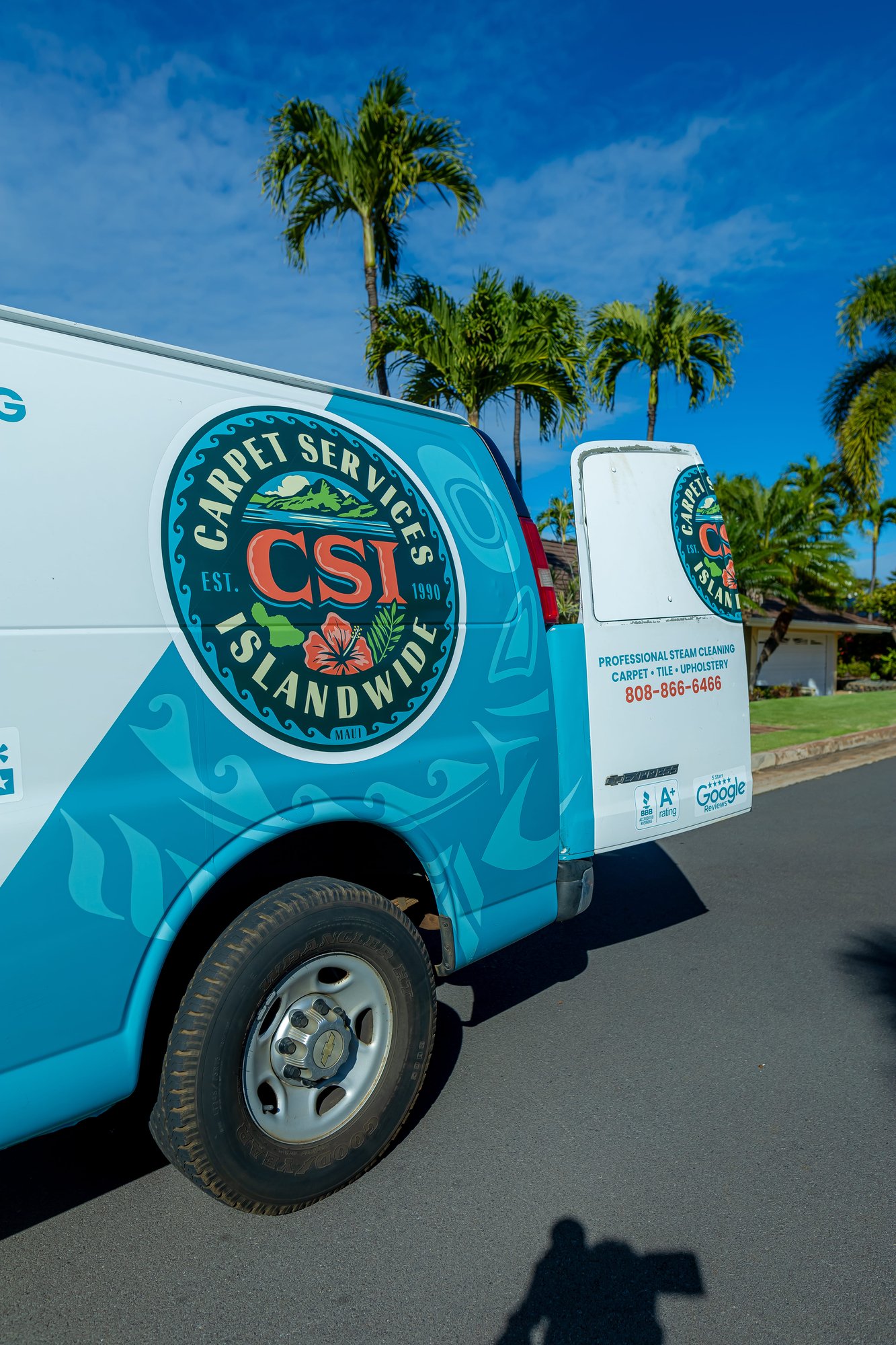 CSI-carpet-van-palms