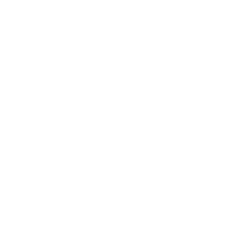 CSI Carpet Cleaning